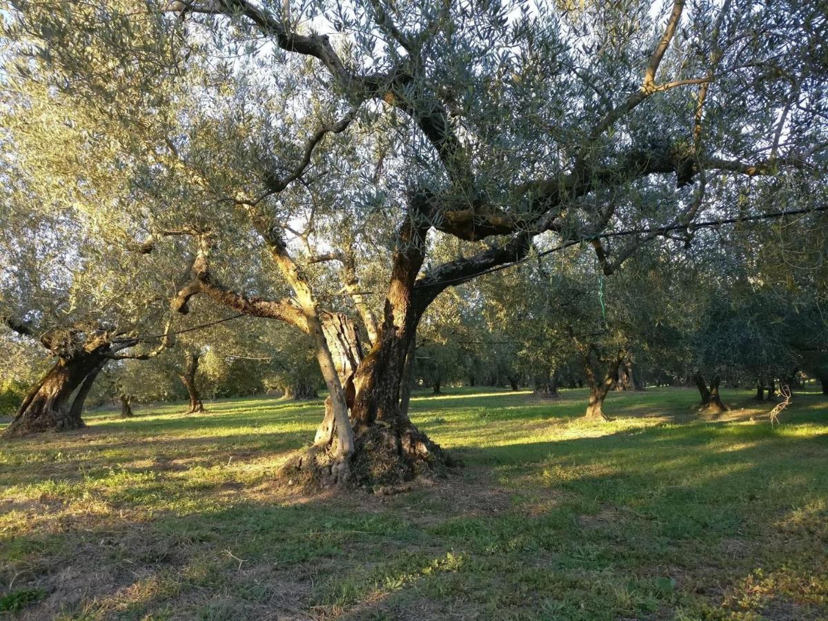 Agriturismo La Villetta San Lorenzo Nuovo Exteriér fotografie
