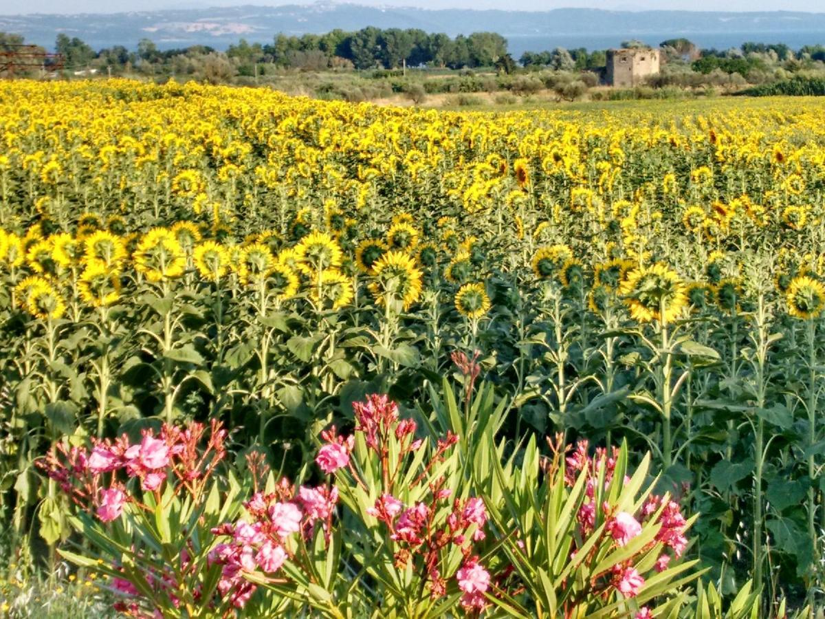 Agriturismo La Villetta San Lorenzo Nuovo Exteriér fotografie