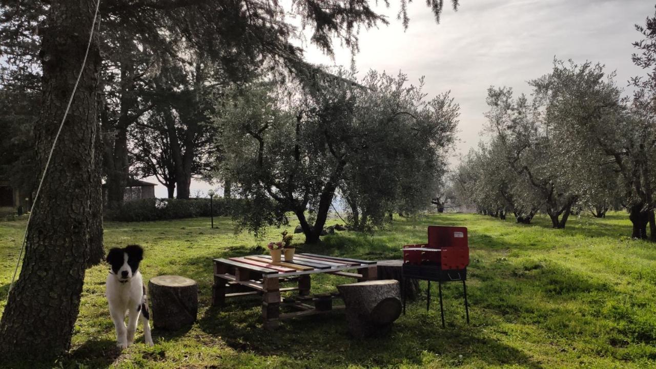 Agriturismo La Villetta San Lorenzo Nuovo Exteriér fotografie