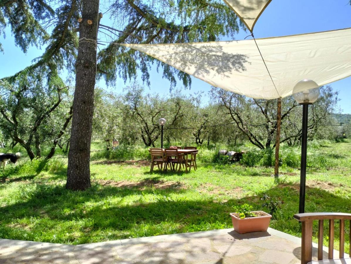 Agriturismo La Villetta San Lorenzo Nuovo Exteriér fotografie