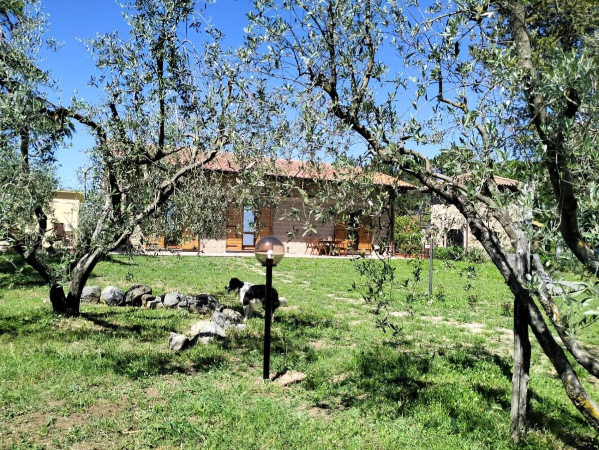 Agriturismo La Villetta San Lorenzo Nuovo Exteriér fotografie