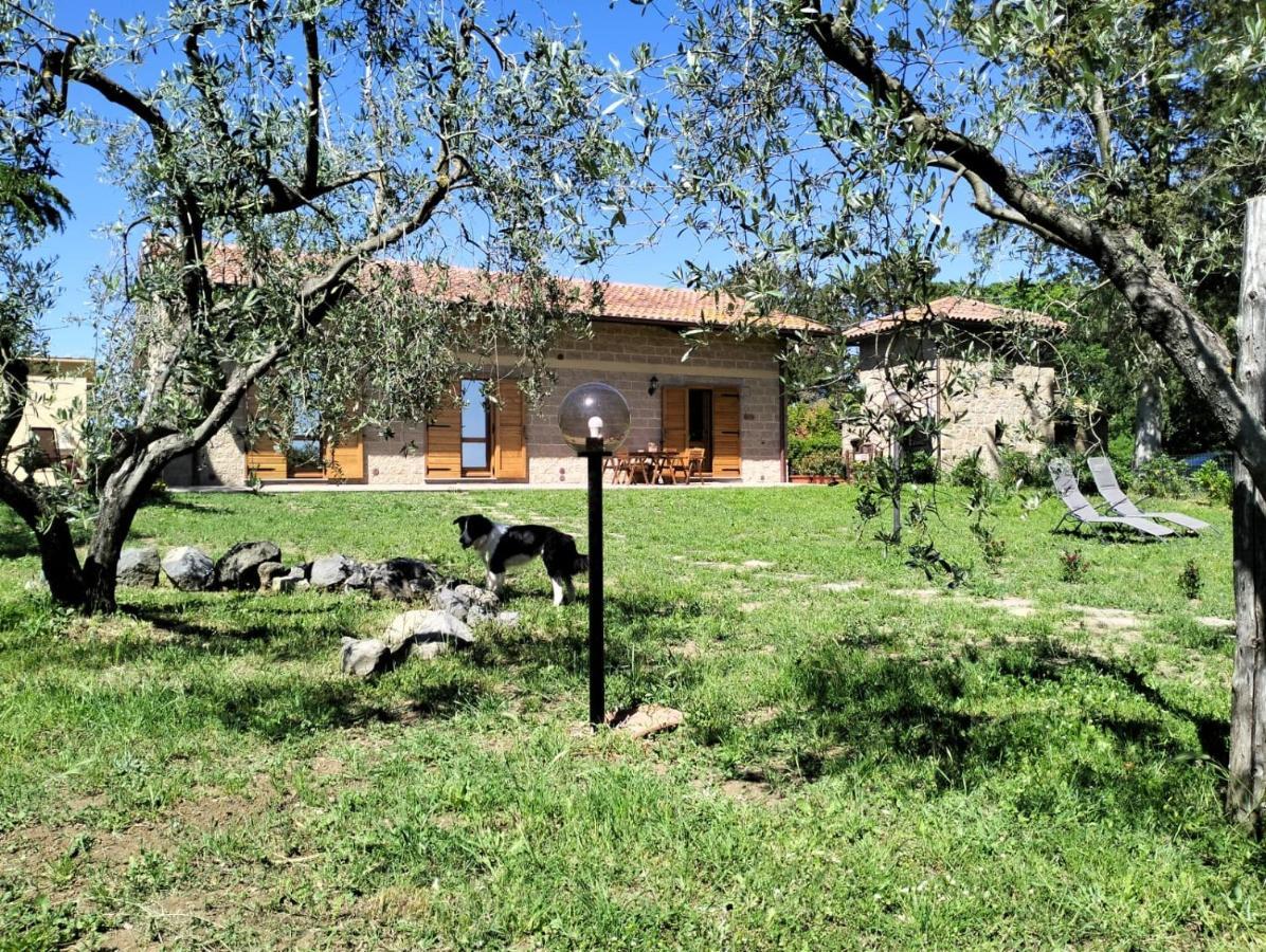 Agriturismo La Villetta San Lorenzo Nuovo Exteriér fotografie