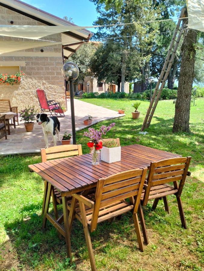 Agriturismo La Villetta San Lorenzo Nuovo Exteriér fotografie